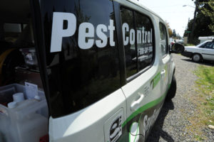 pest control prices booval